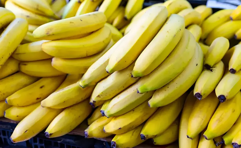 Reasons for the Success of Banana Exports
