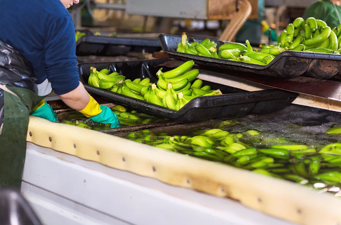 Italy – Top Southern European Importer