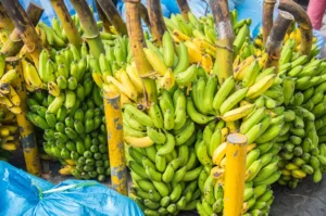 Plantain vs Indian Banana