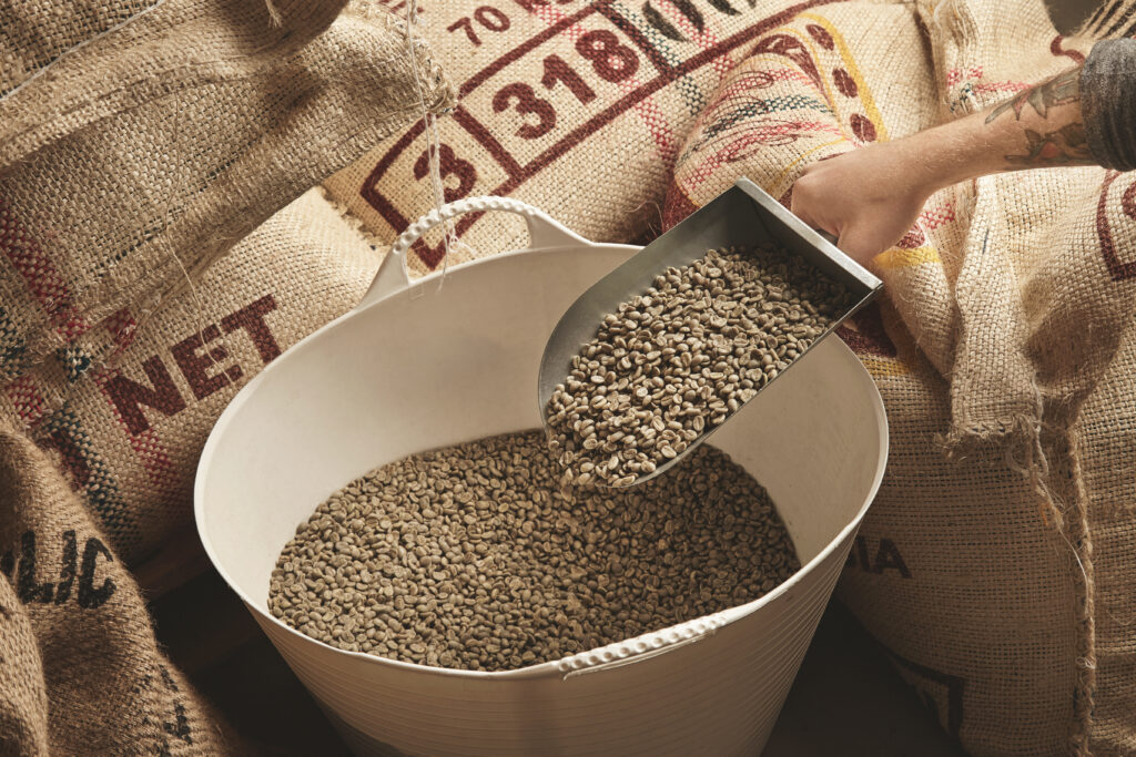 Carefully sourced Ugandan green coffee beans for global trade