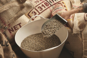 Carefully sourced Ugandan green coffee beans for global trade